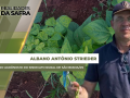 Albano Antônio Strieder - Engenheiro Agrônomo do Sindicato Rural de São Borja/RS