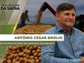 Antônio Cesar Brólio - Presidente do Sindicato Rural de Campo Novo do Parecis/MT