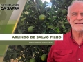 Arlindo de Salvo Filho - Consultor em Citricultura