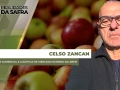 Celso Zancan - Diretor Comercial e Logística de Mercado Externo da ABPM