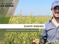 Dante Ribeiro - Produtor Rural da região Aral Moreira/MS