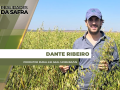 Dante Ribeiro - Produtor Rural da região Aral Moreira/MS