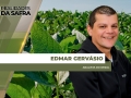 Edmar Gervásio - Analista do Deral