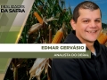 Edmar Gervásio - Analista do Deral
