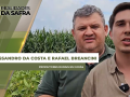 Realidades da Safra