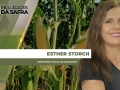 Esther Storch - Diretora Sócia da DASAGRO