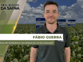 Fábio Guerra, Diretor de MKT Estratégico do Sistema de Cultivo Soja-BASF