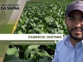 Fabrício Justino - Consultor técnico Futura Agronegócios