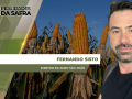 Fernando Sisto - Diretor da Agro São João