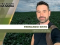 Fernando Sisto - Diretor da Agro São João
