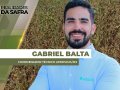 Gabriel Balta - Coordenador Técnico da Aprosoja MS
