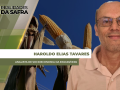 Haroldo Elias Tavares - Analista de Socioeconomia da Epagri/Cepa
