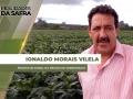 Ionaldo Morais Vilela - Produtor Rural na região de Mineiros/GO