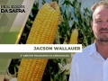 Jacson Wallauer - 2º Diretor Financeiro da Aprosoja BA
