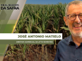 José Antonio Matielo - Diretor Comercial da Atto Sementes