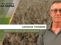 Leomar Tombini - Presidente do Sindicato Rural de Carazinho/RS