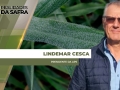 Lindemar Cesca - Presidente da  APS