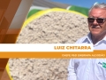 Luiz Chitarra - Chefe P&D Embrapa Algodão