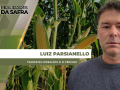 Luiz Parsianello - Trader na Cerealista R. N. Perusso