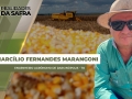 Marcílio Fernandes Marangoni - Engenheiro Agrônomo de Darcinópolis - TO