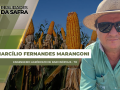 Marcílio Fernandes Marangoni - Engenheiro Agrônomo de Darcinópolis - TO