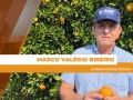 Marco Valério Ribeiro - Consultor do GCONCI
