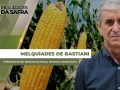 Melquíades de Bastiani - Presidente do Sindicato Rural de  Nova Ubiratã/MT