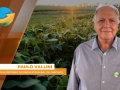 Paulo Vallini, diretor-secretário do Sindicato Rural de Cascavel