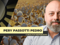 Pery Passotti Pedro - Consultor Independente