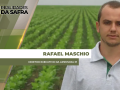 Rafael Maschio - Diretor Executivo da Aprosoja PI