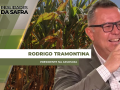 Rodrigo Tramontina - Presidente na AssoSoja
