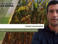 Tiago Machado - Produtor Rural na região de Guarda-Mor/MG