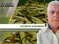 Vicente Godinho - Pesq. da Embrapa Rondônia e Membro da Aprosoja/RO