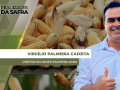 Virgílio Palmeira Caixeta - Diretor do grupo Palmeira agro