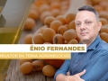 Ênio Fernandes - Consultor em Agronegócio da Terra Agronegócios