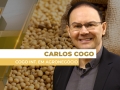 Carlos Cogo - Cogo Inteligência em Agronegócio