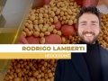 Rodrigo Lamberti - Especialista em Gestão de Riscos para Grãos da Hedgepoint