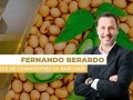Fernando Berardo - Chefe de Commodities Brasil e Latam da Barchart no Brasil
