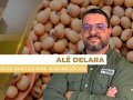 Alê Delara - Sócio Diretor da Pine Agronegócios