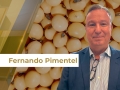 Fernando Pimentel - Sócio Diretor da Agrometrika