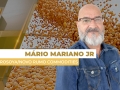 Mário Mariano Moraes Júnior - Diretor Comercial Agrosoya/Novo Rumo Commodities