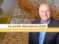 Vlamir Brandalizze - Consultor de Mercado da Brandalizze Consulting