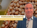 Fernando Pimentel - Sócio Diretor da Agrometrika