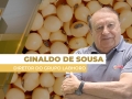 Ginaldo de Sousa - Diretor Geral do Grupo Labhoro