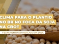 Cristiano Palavro - Diretor da Pátria Agronegócios