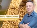 Enio Fernandes - Consultor Terra Agronegócios