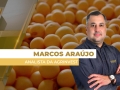 Marcos Araújo - Analista da Agrinvest