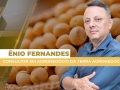Ênio Fernandes - Consultor em Agronegócio da Terra Agronegócios