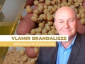Vlamir Brandalizze - Consultor de Mercado da Brandalizze Consulting