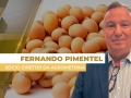Fernando Pimentel - Sócio Diretor da Agrometrika